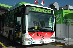 Bus